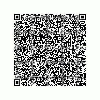 vCard 78315992381