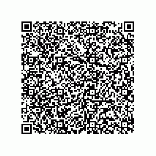 vCard 78315993295