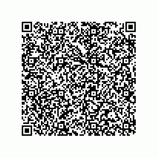 vCard 78315993311