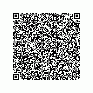 vCard 78315993319