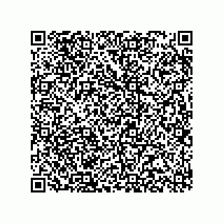 vCard 78315993337