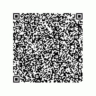 vCard 78315993358