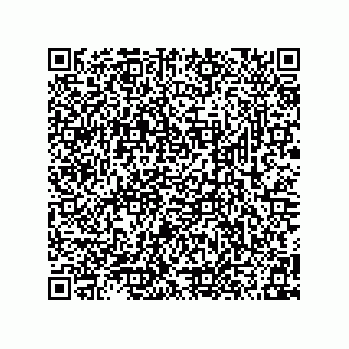 vCard 78315993371