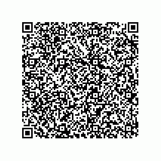 vCard 78315993740