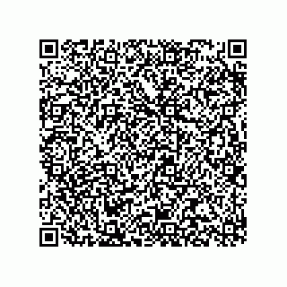 vCard 78315993911
