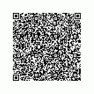 vCard 78315993991