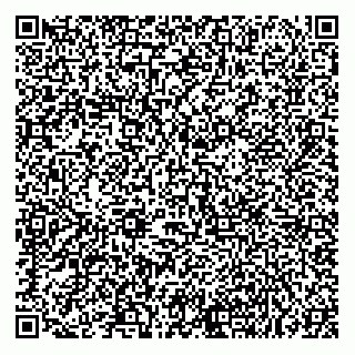 vCard 78315994011
