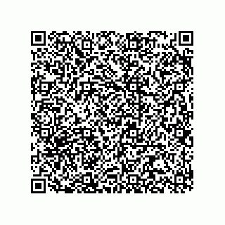 vCard 78315994079