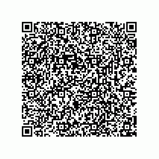 vCard 78315995203