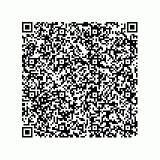 vCard 78315995211