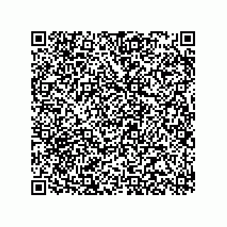vCard 78315995217