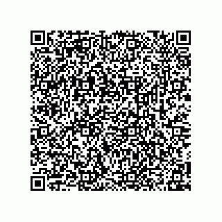 vCard 78315995221