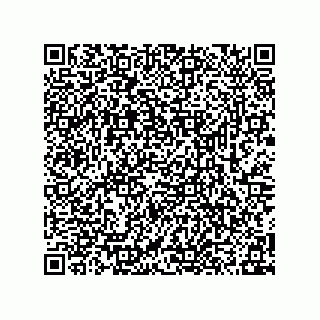vCard 78315995249