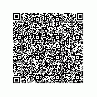 vCard 78315995297