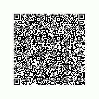 vCard 78315995299