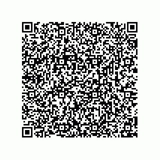 vCard 78315995313