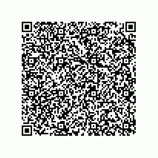 vCard 78315995408