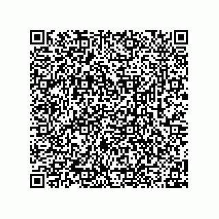vCard 78315995529