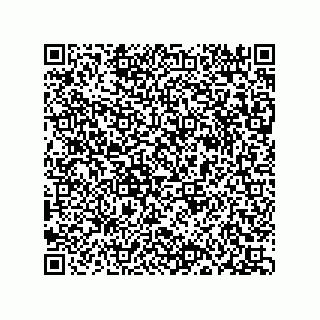 vCard 78315996880