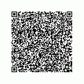 vCard 78315998131
