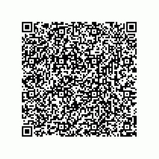 vCard 78315999335