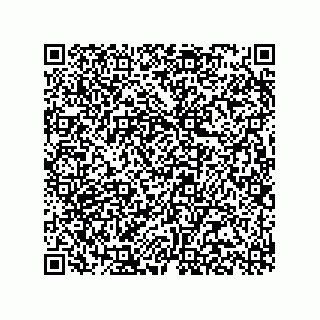 vCard 78315999385