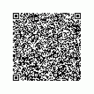 vCard 78316132651