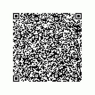 vCard 78316133205