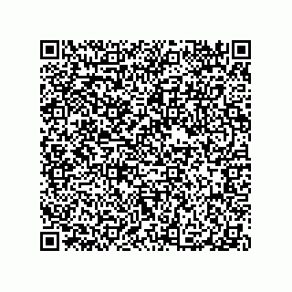 vCard 78316133217