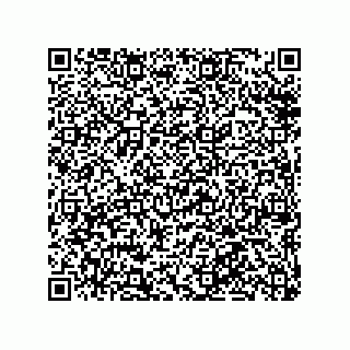 vCard 78316133221