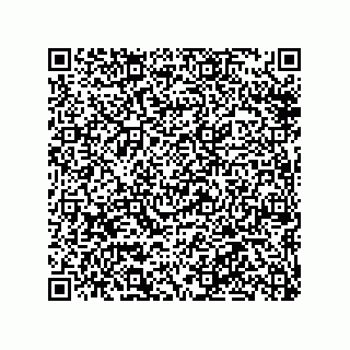 vCard 78316133225