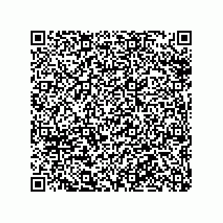 vCard 78316133301