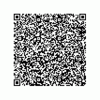 vCard 78316133303