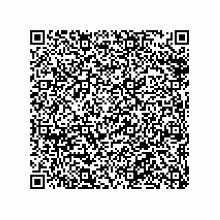 vCard 78316133305