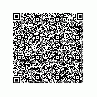 vCard 78316133313