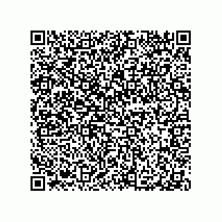 vCard 78316133317