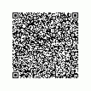 vCard 78316133321