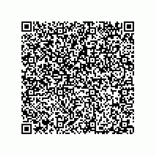 vCard 78316133331