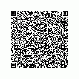 vCard 78316133353