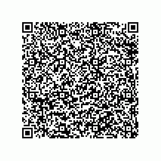 vCard 78316133381