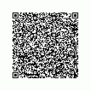 vCard 78316133384