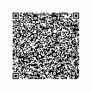 vCard 78316133385