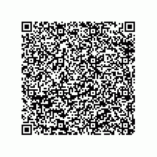 vCard 78316133387