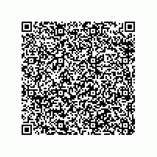 vCard 78316133389