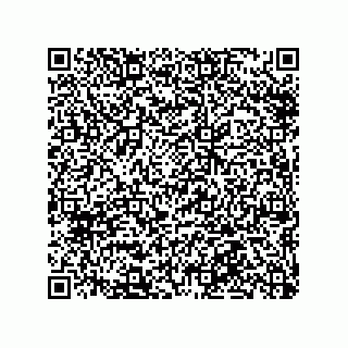 vCard 78316133390