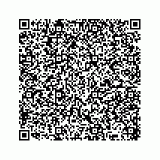 vCard 78316160029