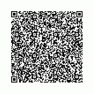 vCard 78316160049