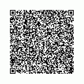 vCard 78316160085