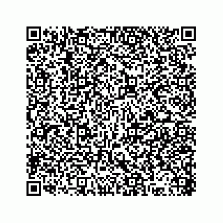 vCard 78316165041