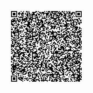 vCard 78316165221